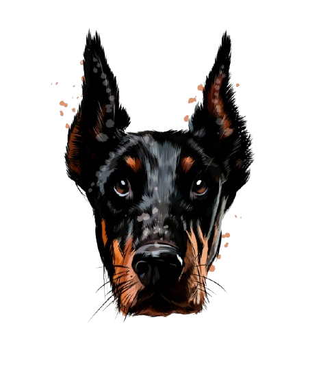 Genetsko i Zdravstveno Testiranje - Armageddon Angels doberman zdravlje i garancija